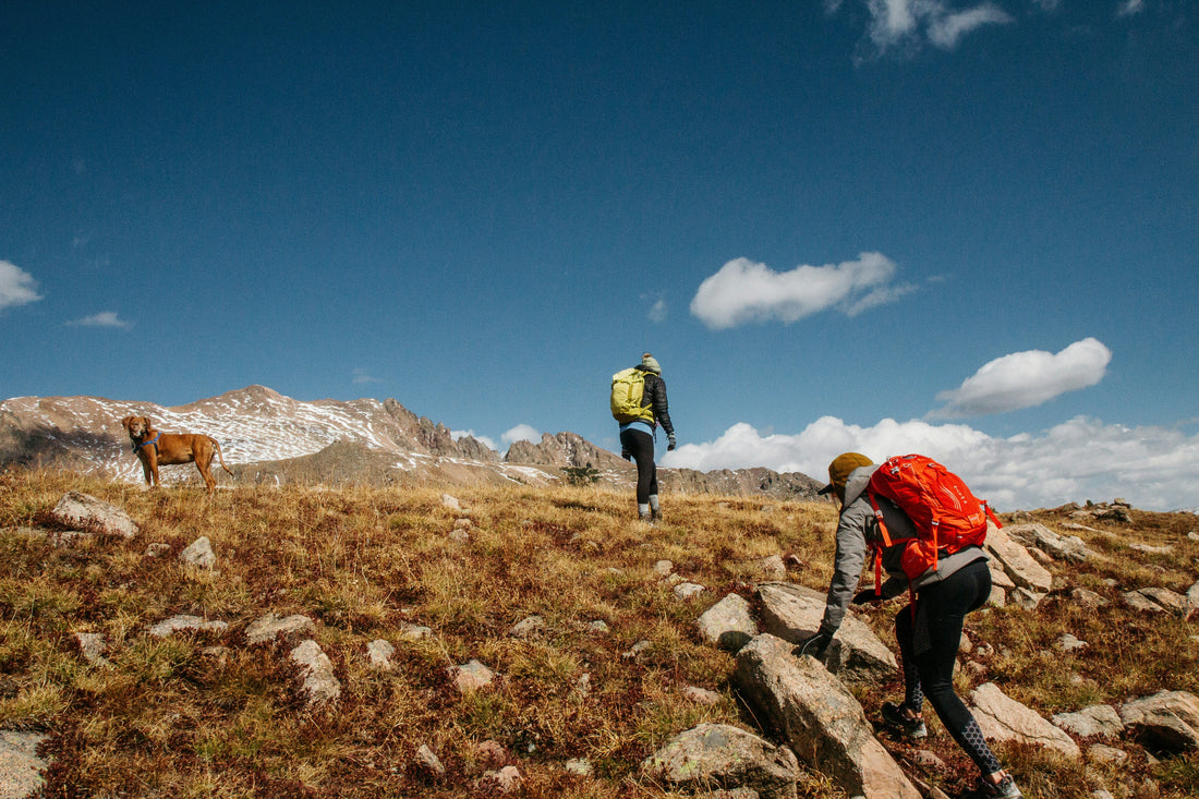 Finding the Right Hiking Pace: Why Slowing Down Makes You a Better Hiker