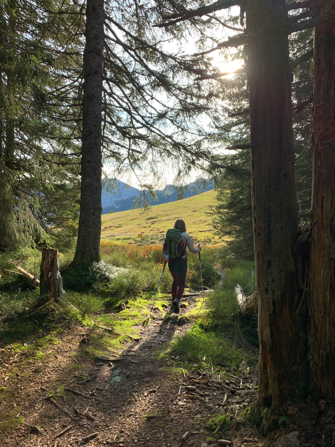 The Mental Side of Hiking: What Actually Keeps You Going on Long Trails