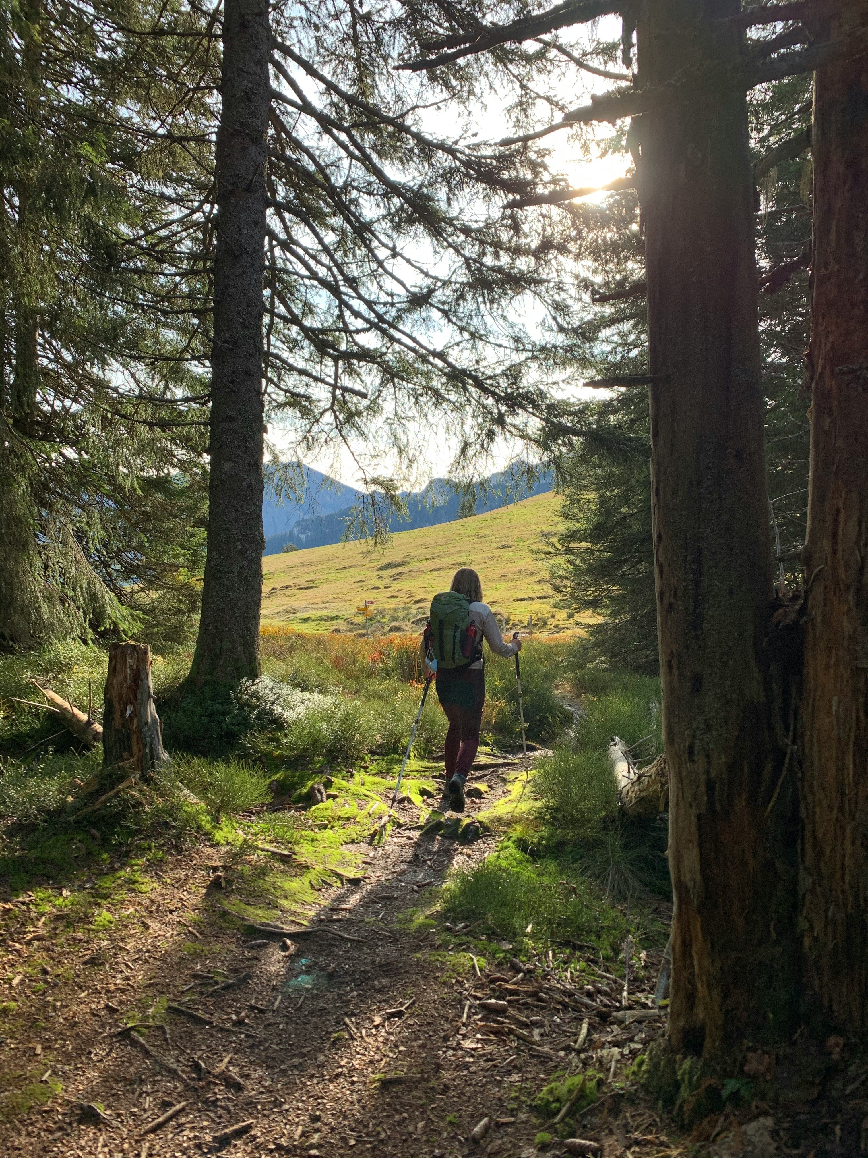 The Mental Side of Hiking: What Actually Keeps You Going on Long Trails